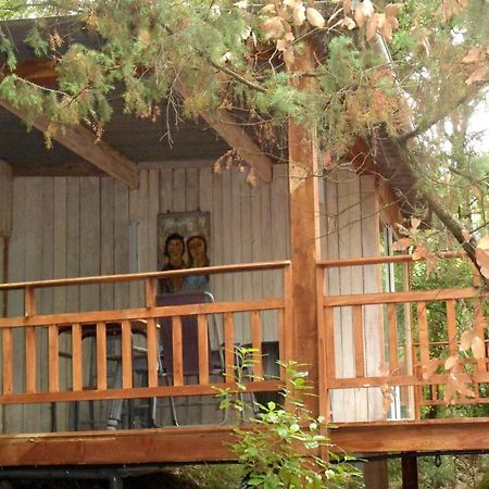 Chalet Dans Residence Privee 라가우데 외부 사진
